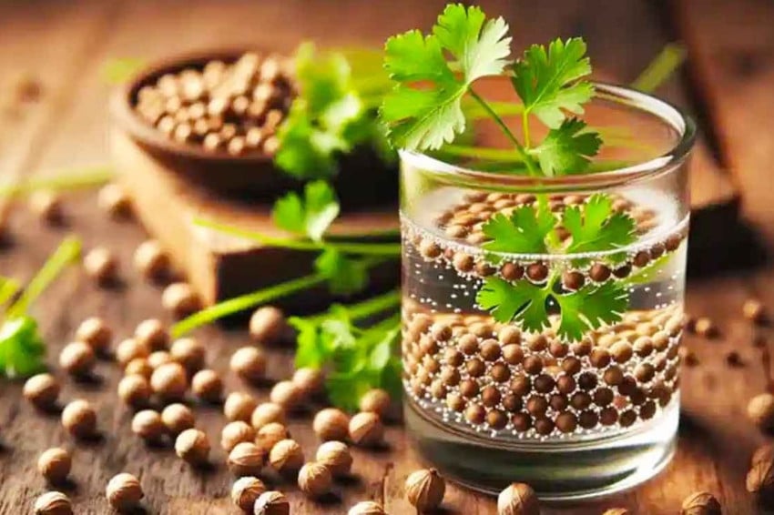 10 Manfaat Air Rebusan Ketumbar yang Jarang Diketahui, Ampuh Menurunkan Kolesterol