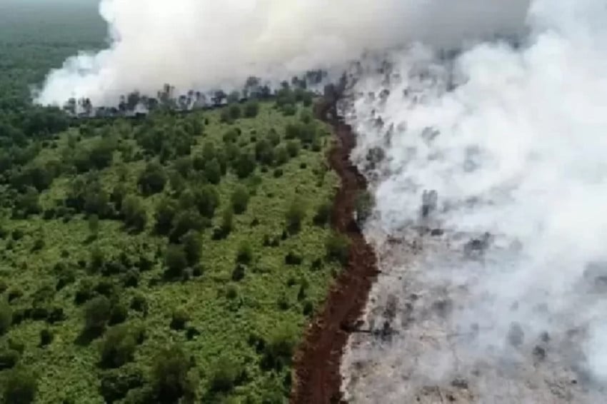 Gelar Apel, Forkopimda Riau Komitmen Cegah Kebakaran Hutan dan Lahan