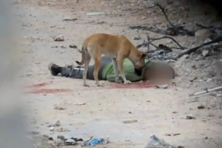 Mayat-mayat Bergeletakan di Jalanan Gaza, Tentara Israel Halangi Tim Evakuasi