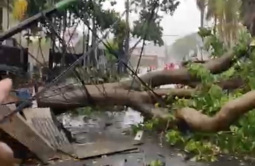 Hujan-Angin Kencang, Pohon Besar Tumbang di Jombang Raya Tangerang Selatan