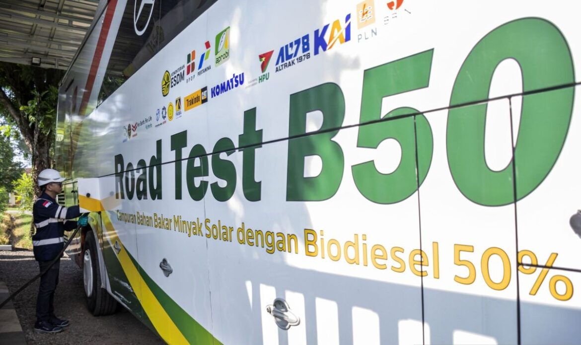 Petani Sawit Minta Pemerintah tak Buru-Buru Terapkan B50